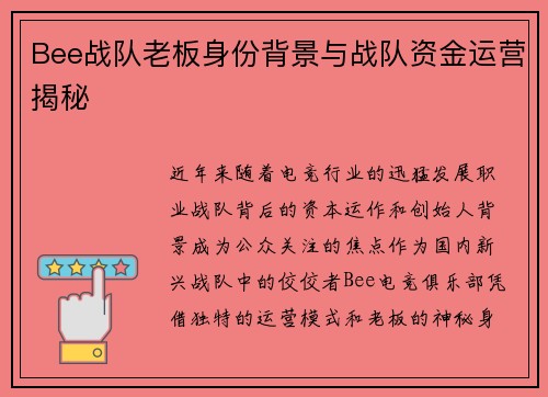Bee战队老板身份背景与战队资金运营揭秘